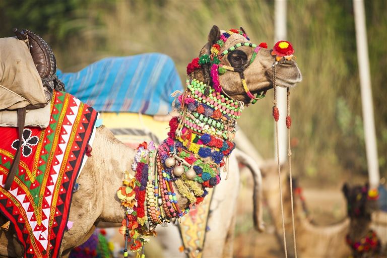 Maharajas, Tempel und Paläste ©adamkaz/istock